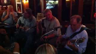 Dennis Roger Reed Band  (Greg Lewis) "Muddy Water"