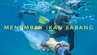 Hasil tak seberapa,spot spearfishing turun gunung naik gunung