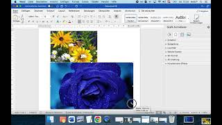 ECDL Word - Kapitel 10: Illustrationen einfügen und bearbeiten