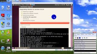 Upgrading Ubuntu from Version 10.04 to 10.10 beta
