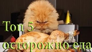 ТОП 5 САМЫХ ОПАСНЫХ ВЕЩЕСТВ ЕДА!!!!