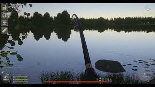 Russian fishing 4  Amber lake Trophy Grass carp 33.381kg