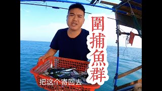 浮水鱼早晨最活跃，沿着它经常出现的地方围一网收获满满的  #渔民 #捕鱼