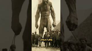 The Giant of Kandahar- Proof Of Giants #joerogan #afghanistan #bible