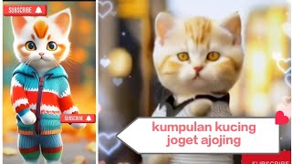 Cute and funny !! kucing gemoy joget ajojing #cutecat #catsdance