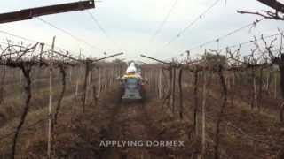 The Martignani Phantom M748 Minor Electrostatic Sprayers Operating on Table Grapes