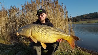 Winter carp Letny 2018