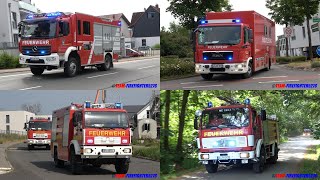 [F Wald 2 - ausgedehnter Waldbrand nach langer Trockenheit] Großübung in Roßdorf auf der Kubig