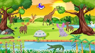 DazzleKidsCN | Kids Story | Fast & Consistent Wins The Race