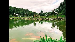 Brazil Trip Zoobotanico Joinville #brazil#zoo#kids