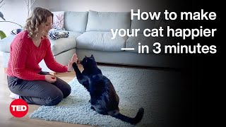 How to Make Your Cat Happier — in 3 Minutes | Nicky Trevorrow | TED