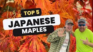 Liz’s Top 5 Japanese Maples!