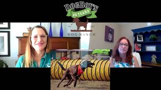 DogBoy's Dog Ranch Interviewed by the KW Moving Houston Team