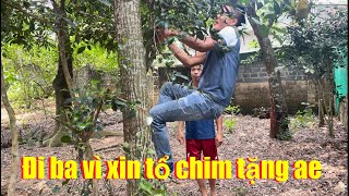 Đi 33km để để lấy tổ chim - anh không nuôi tặng mình về tặng cho ae cùng đam mê