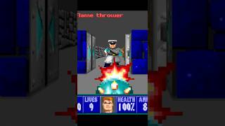 Secrets E4 F9 - Wolf 3D, 30th Anniversary Edition #wolfenstein3d