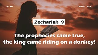 【Zechariah 9 】The prophecies came true, the king came riding on a donkey! ｜ACAD Bible Reading