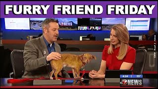 Furry Friend Friday, meet "ROSCO," our Pet of the Week, 7 FEB 2020