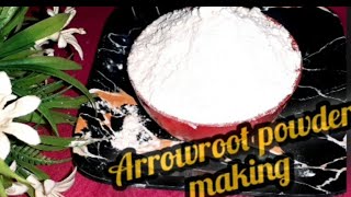 arrowroot (palua)powder recipe/how to palua (arrowroot)powder making at home/ଘରେ ପିଳୁଅର ପ୍ରସ୍ତୁତି ।