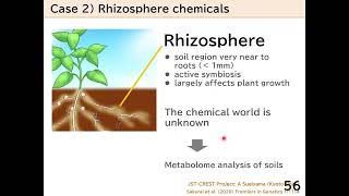 4.2_4 Metabolomic data mining (2)