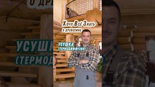 УСУШКА ДРЕВЕСИНЫ или ТЕРМОДИФФУЗИЯ. Что это? ХВЗ #наука #дерево #пиломатериалы#строительство