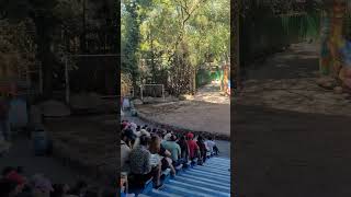 Safari World Elephant Show Audience