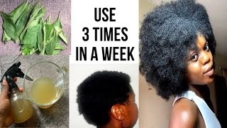 Use 3 times in a week hair growth leaf #diy #simplychisom #naturalhair