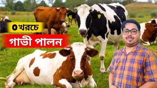 শূন্য খরচে গাভী পালন। কিভাবে করবেন শূন্য খরচে গাভী পালন। 0 costing dairy farming in West Bengal.