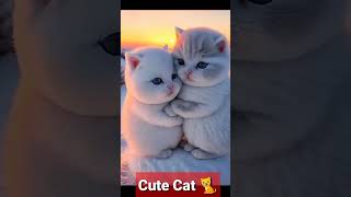 cute cat for children