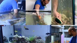 How to clean your aquarium : Aquarium Series 1