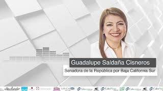 Entrevista con Guadalupe Saldaña Cisneros Senadora de la República por Baja California Sur LCALC 0