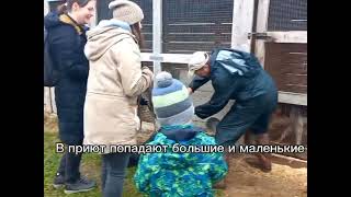 Друзей в беде не бросают,7 лет, Молоткова Алëна, 68 школа