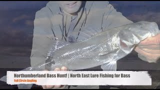 Northumberland Bass Hunt! | North East Lure Fishing for Bass #bassfishing#lurefishing#tailwalk#bass