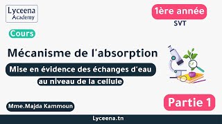 1ère année secondaire | SVT | Mécanisme de l'absorption (2)