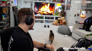 Mizkif’s Cat BREAKS His Monitor