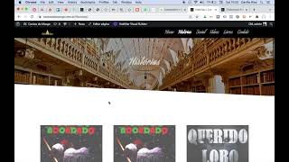 Aula 2 - Site com blog usando WordPress e DIVI Theme