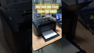 Máy in Canon Lbp 3100B cũ | in đen trắng A4