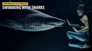 Dave Edwards x Fly By Midnight   Swimming With Sharks Lyrics Video