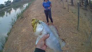 MEU PRIMEIRO TUCUNARÉ NO ESTILINGUE