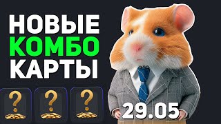 НОВЫЕ КОМБО КАРТЫ В HAMSTER KOMBAT / ХАМСТЕР КОМБАТ