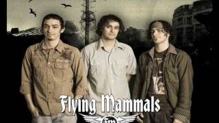 Flying Mammals IndieGoGo Campaign