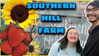 Picking Strawberries & Sunflowers in December! - Southern Hill Farm - Clermont Florida