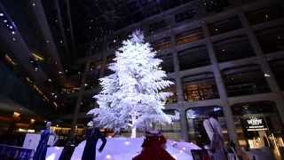 Illumination in KITTE / KITTE ホワイトツリー2014