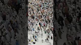 Jama'ah Haji 2016 #hajj  #masjidilharam  #kabah  #makkah