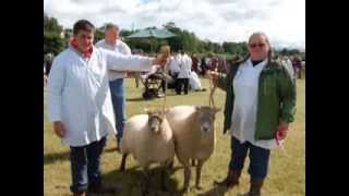 Brecon County Show 2013