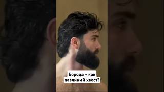 Борода - павлиний хвост ? Гандикап #борода #эволюция