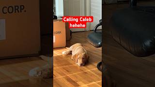 Caleb mommy is calling you