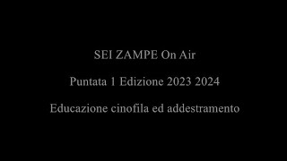 Sei zampe on air per Radio Derbi Web - Puntata 1 2023 2024 -  Educazione cinofila ed addestramento