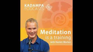 Meditation is a Training