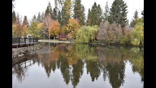 Fall foliage on display in  Bend, Oregon