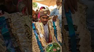 Pakistani People wedding #shorts #wedding